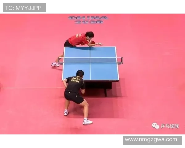 乒乓球深度解析西安乒乓球队如何实现整体压制与战术优势 乒乓球深度解析西安乒乓球队如何实现整体压制与战术优势
