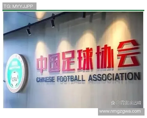 中国足球界哀悼谁是最近去世的足球明星引发广泛关注