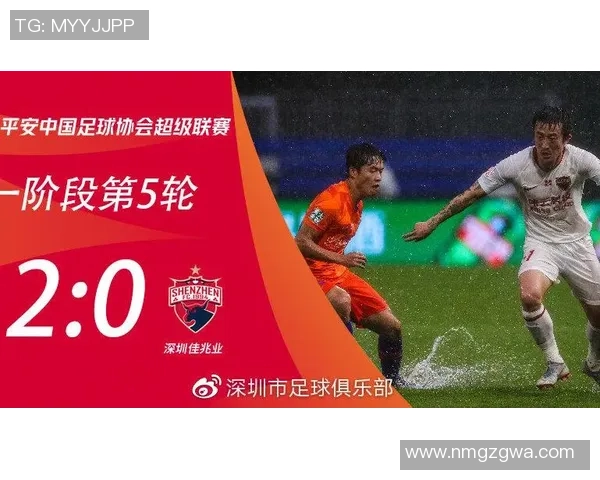 深圳足球队的运营成败分析与未来发展方向探讨