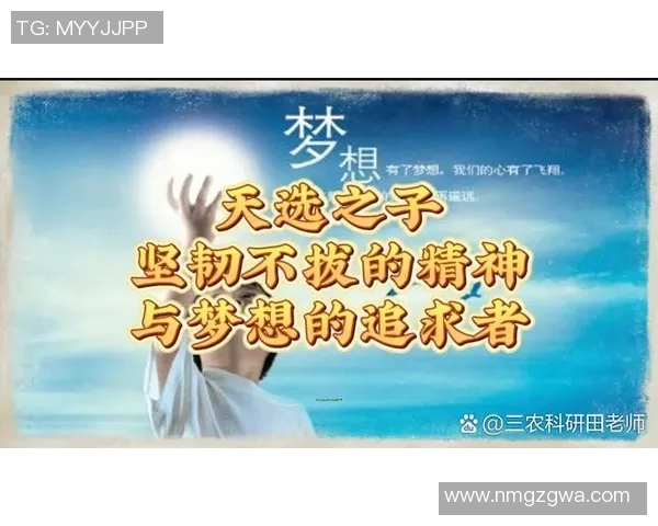 深度对话杨强谈羽毛球人生与梦想追逐的心路历程