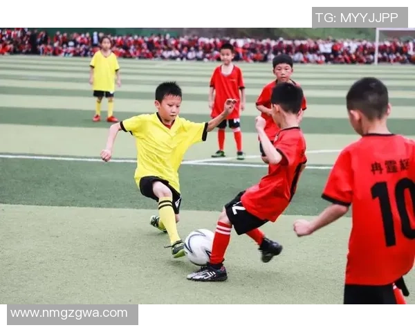 足球回拿的精彩瞬间与背后的故事探秘