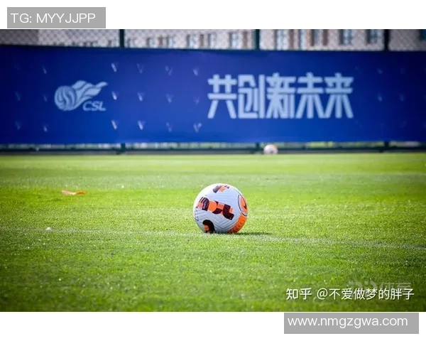 高晨足球:探索青少年足球发展的新机遇与挑战