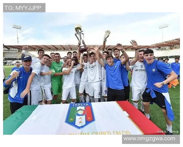 alf足球：探索新兴足球文化与全球赛事的交融与发展