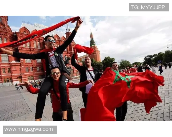 芬兰足球文化的独特魅力与球迷热情探秘之旅