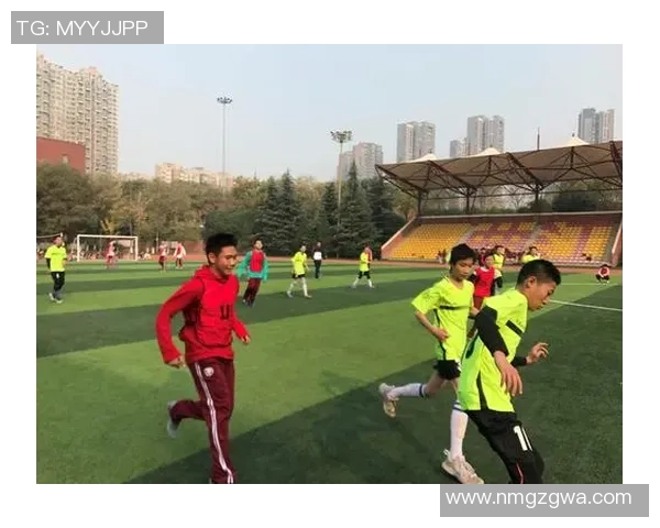 闪电哥足球：激情与梦想交织的绿茵场上的传奇之路