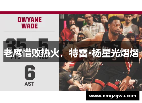 老鹰惜败热火，特雷·杨星光熠熠