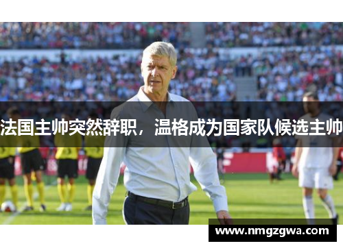 法国主帅突然辞职，温格成为国家队候选主帅