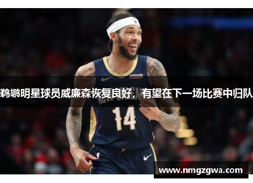 鹈鹕明星球员威廉森恢复良好，有望在下一场比赛中归队