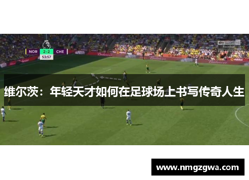 维尔茨：年轻天才如何在足球场上书写传奇人生